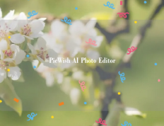 PicWish AI Photo Editor